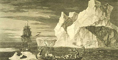 5007  The Ice Islands  Seenthe9thof Jan.ry1773.