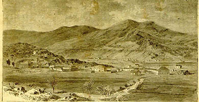 2995  Cetinje1875